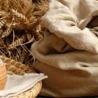 Brot1